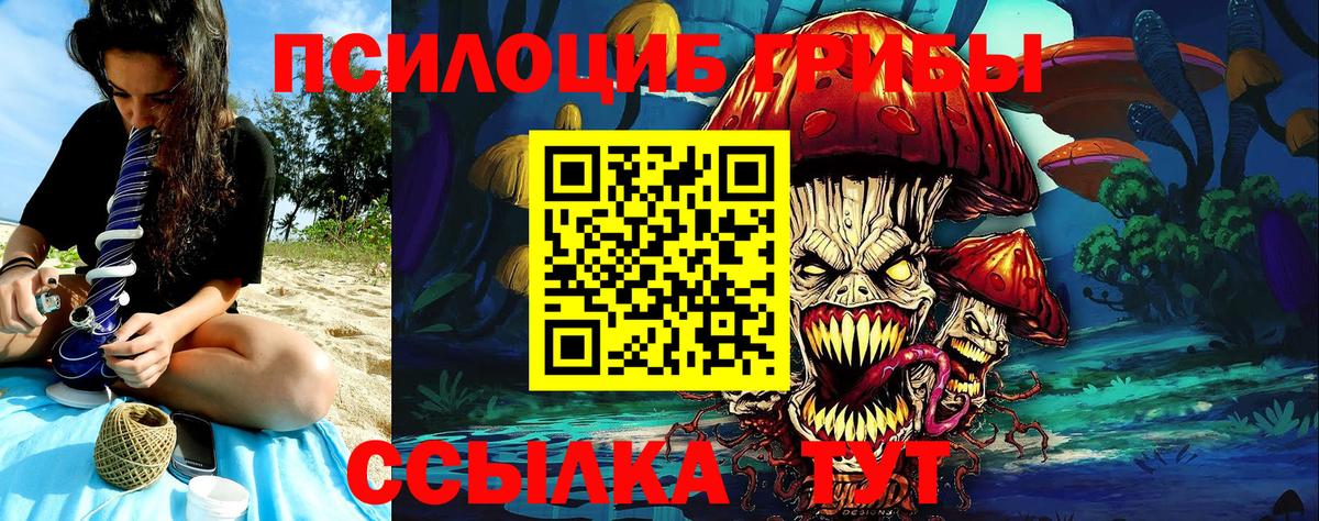 Галлюциногенные грибы Psilocybine cubensis  сколько стоит  Маркс  Вход с VPN 