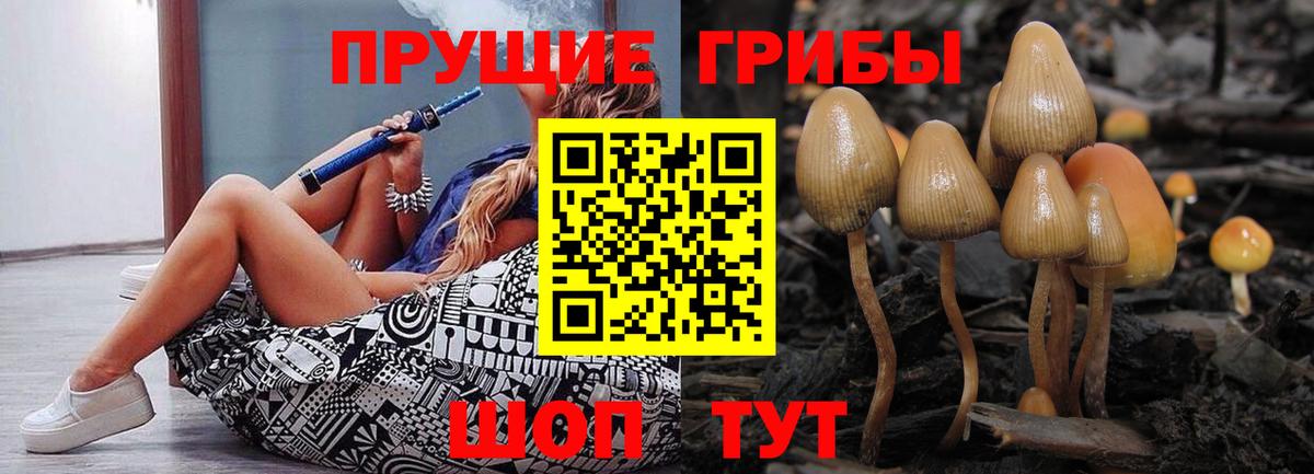 Псилоцибиновые грибы Cubensis Маркс